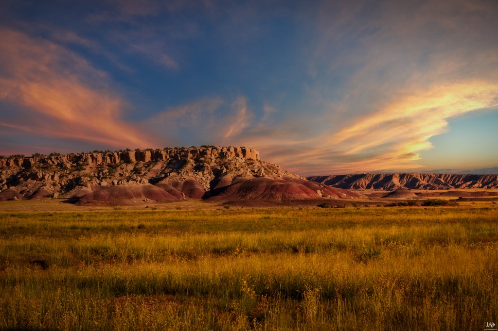 If I could only use one lens?