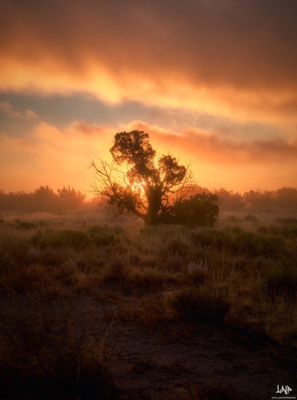 Professional Photography on a Budget buying gear and a trip