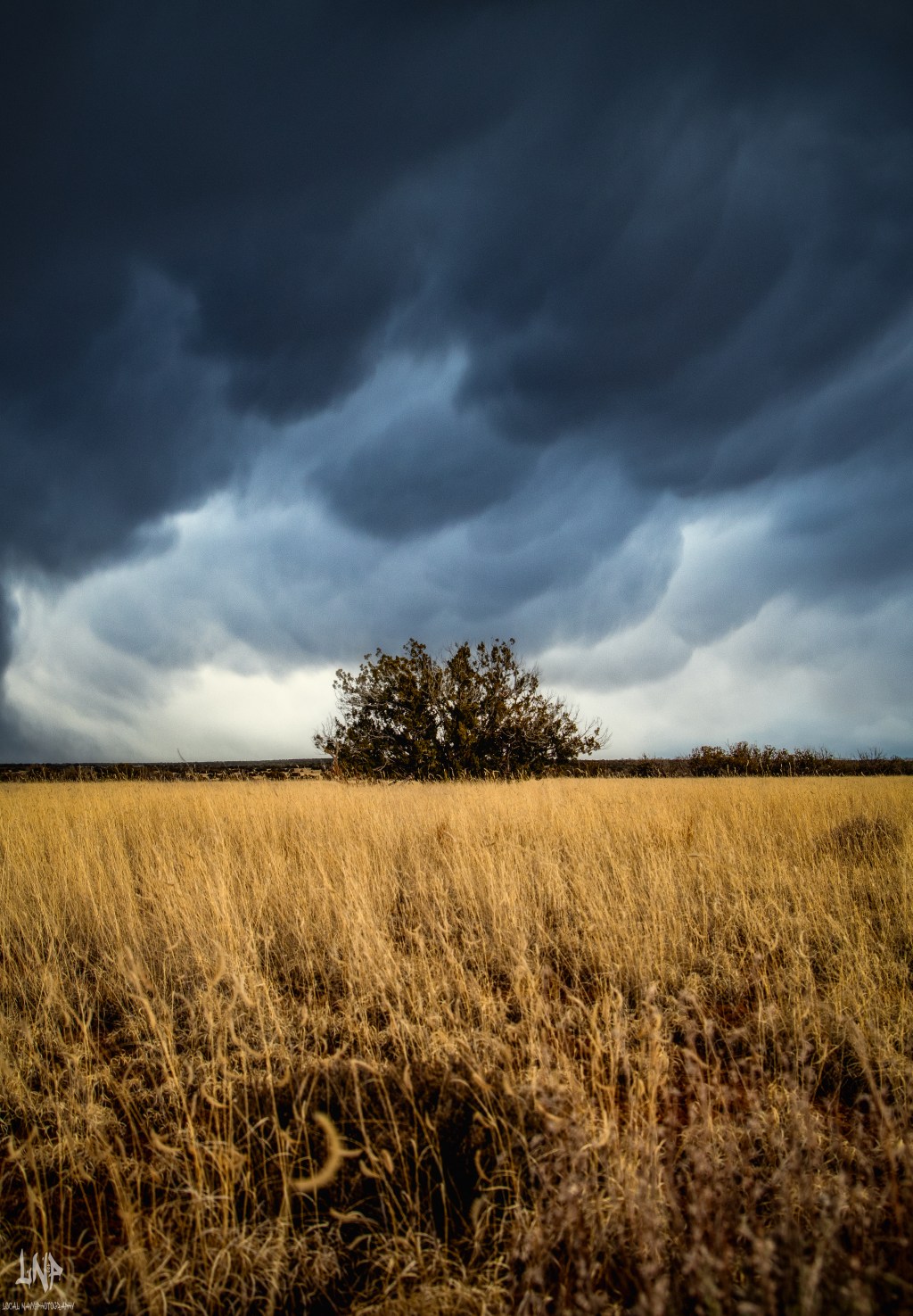 *Shuttered Elegance: Why DSLRs Remain the Creative Powerhouses of&nbsp;2024