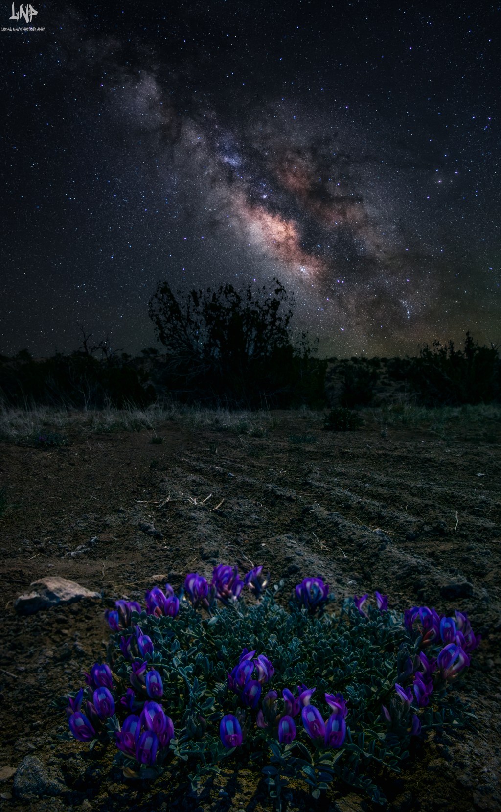 Is Lightroom AI denoise worth using for your Milky Way images