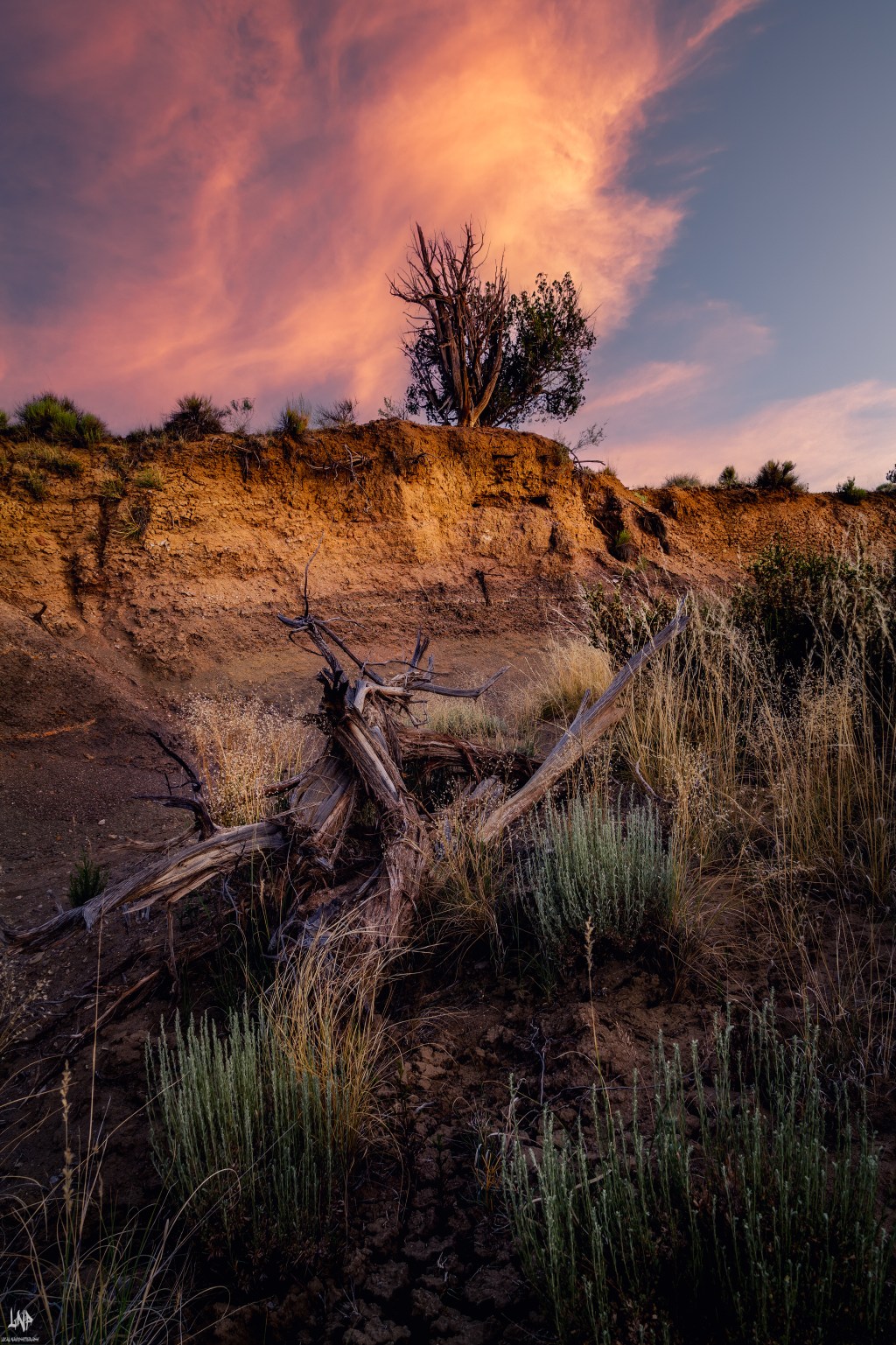 What is like shooting with a DSLR in a Mirrorless world.