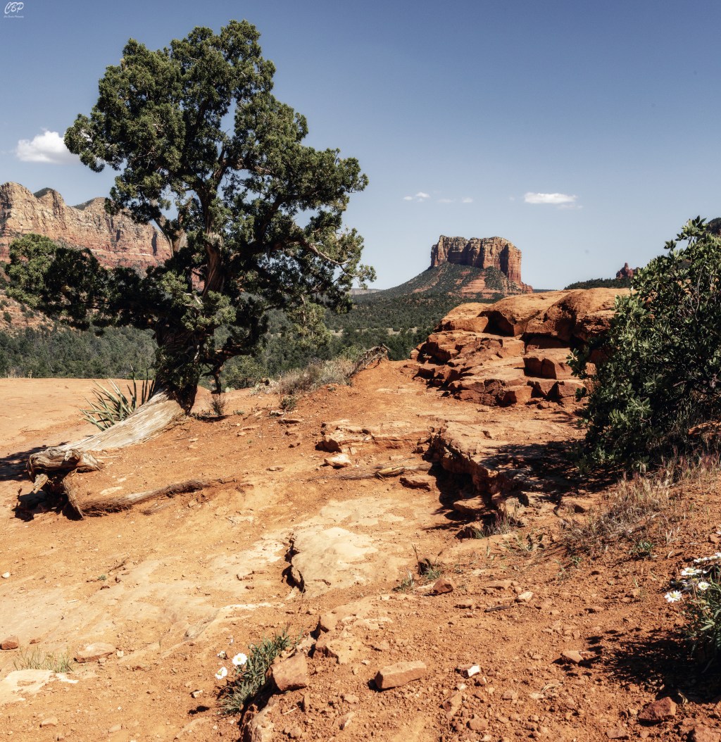 Best Landscape Photography setup for hiking under $600 dollars.  