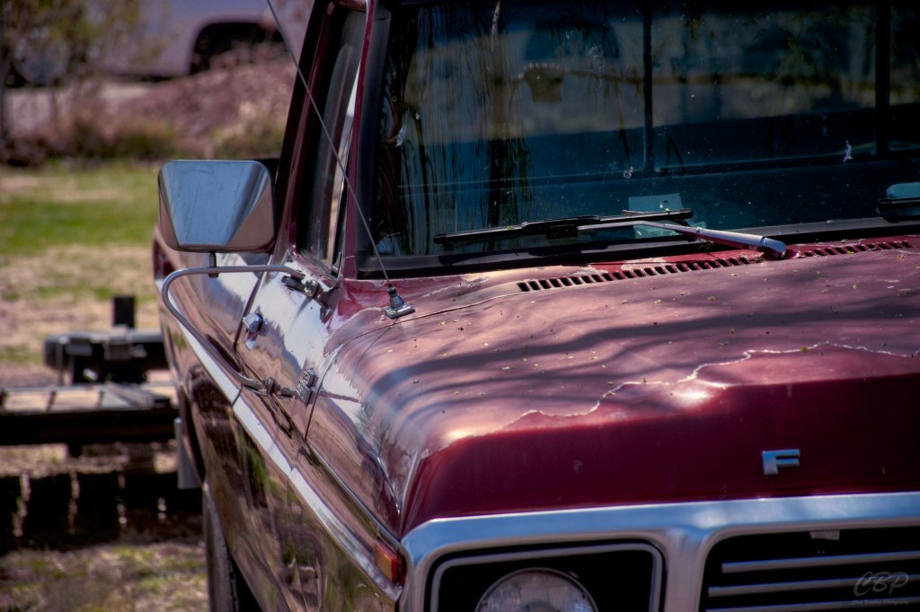 Photography Without the Tech: Shoot From the&nbsp;Heart